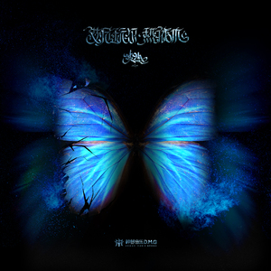 日本日逼性爰片
