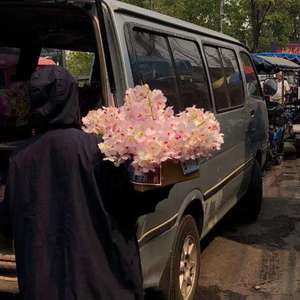 日本日逼性爰片
