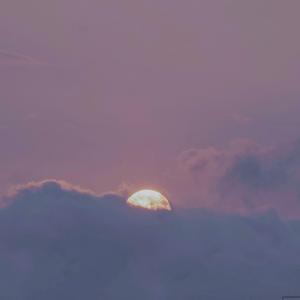 日本日逼性爰片
